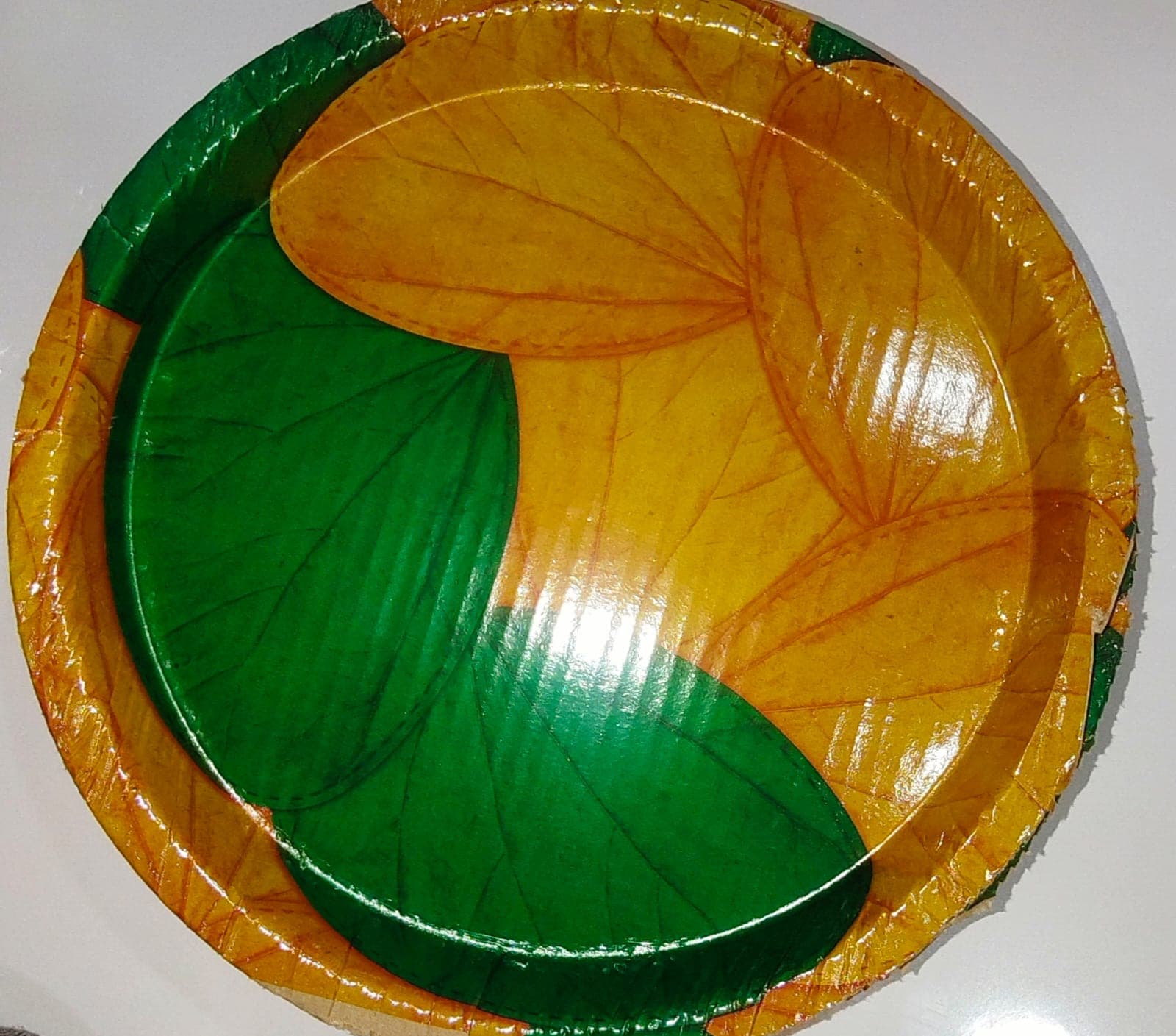 Multi colour paper plate